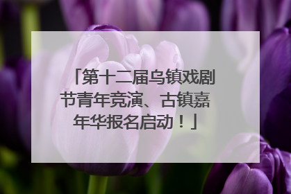 第十二届乌镇戏剧节青年竞演、古镇嘉年华报名启动！