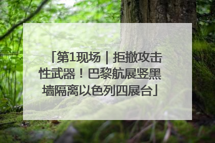 第1现场｜拒撤攻击性武器！巴黎航展竖黑墙隔离以色列四展台