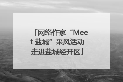 网络作家“Meet 盐城”采风活动走进盐城经开区