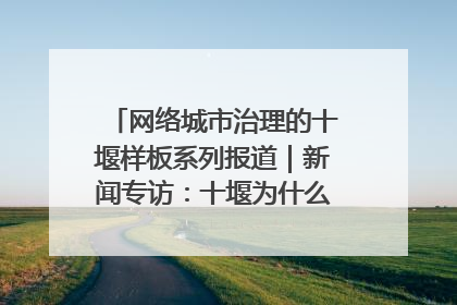 网络城市治理的十堰样板系列报道｜新闻专访：十堰为什么成为“黑马型”城市治理网络维度典型
