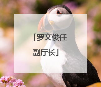 罗文俊任副厅长