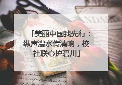 美丽中国我先行：纵声澧水传清响，校社联心护碧川