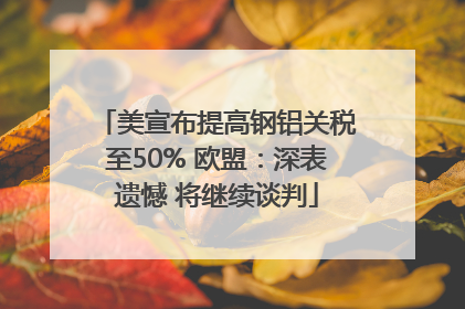 美宣布提高钢铝关税至50% 欧盟：深表遗憾 将继续谈判
