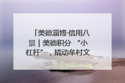 美德淄博·信用八景｜美德积分 “小杠杆”，撬动牟村文明 “大能量”
