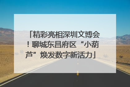 精彩亮相深圳文博会！聊城东昌府区“小葫芦”焕发数字新活力