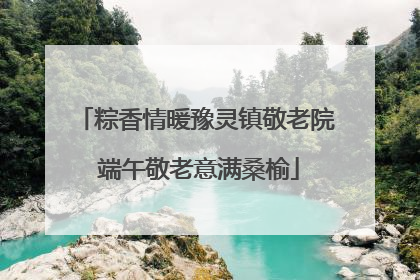粽香情暖豫灵镇敬老院 端午敬老意满桑榆
