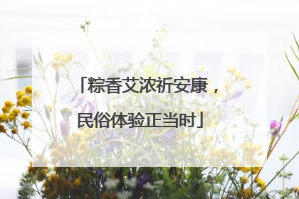 粽香艾浓祈安康，民俗体验正当时
