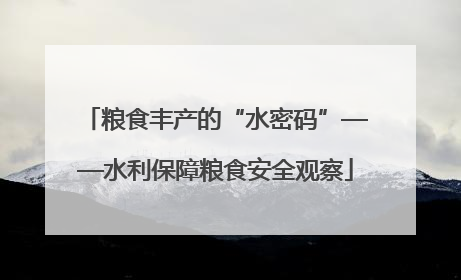 粮食丰产的“水密码”——水利保障粮食安全观察