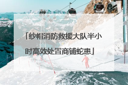 纱帽消防救援大队半小时高效处置商铺蛇患