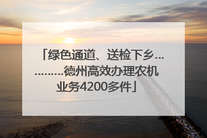 绿色通道、送检下乡…………德州高效办理农机业务4200多件