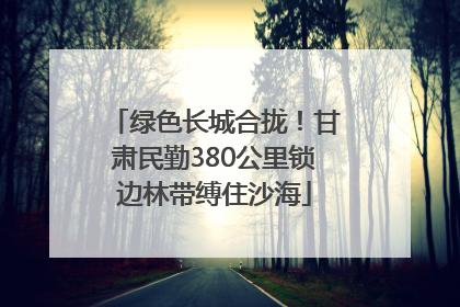 绿色长城合拢！甘肃民勤380公里锁边林带缚住沙海