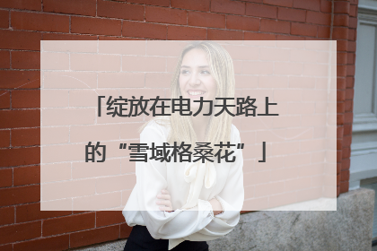 绽放在电力天路上的“雪域格桑花”