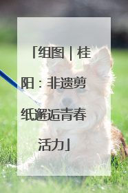 组图｜桂阳：非遗剪纸邂逅青春活力