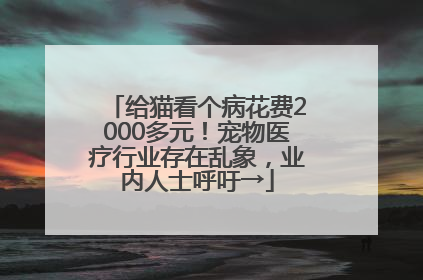 给猫看个病花费2000多元！宠物医疗行业存在乱象，业内人士呼吁→