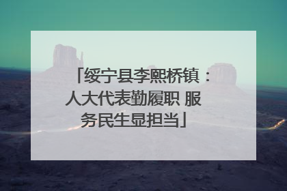 绥宁县李熙桥镇：人大代表勤履职 服务民生显担当