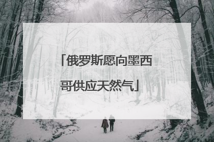 俄罗斯愿向墨西哥供应天然气