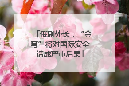 俄副外长：“金穹”将对国际安全造成严重后果
