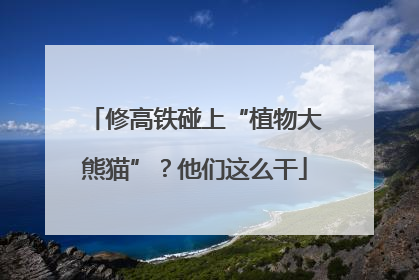 修高铁碰上“植物大熊猫”？他们这么干