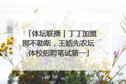 体坛联播｜丁丁加盟那不勒斯，王皓先农坛体校招聘笔试第一