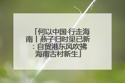 何以中国·行走海南丨燕子归时巢已新：自贸港东风吹拂 海南古村新生