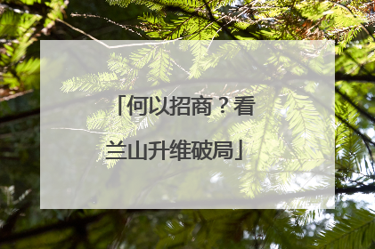 何以招商？看兰山升维破局