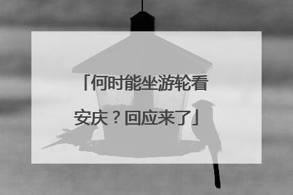 何时能坐游轮看安庆？回应来了