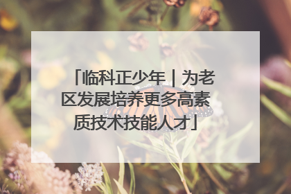 临科正少年｜为老区发展培养更多高素质技术技能人才