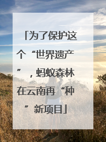 为了保护这个“世界遗产”，蚂蚁森林在云南再“种”新项目