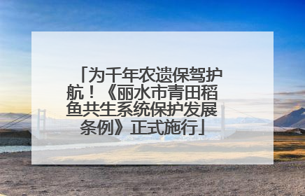为千年农遗保驾护航！《丽水市青田稻鱼共生系统保护发展条例》正式施行