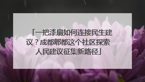 一把漆扇如何连接民生建议？成都郫都这个社区探索人民建议征集新路径