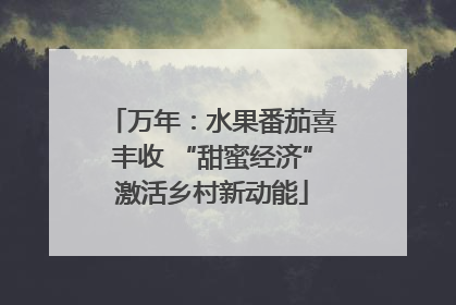 万年：水果番茄喜丰收 “甜蜜经济”激活乡村新动能