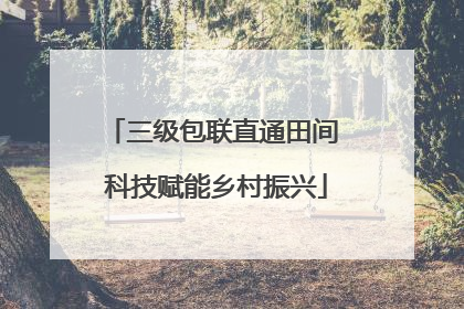 三级包联直通田间 科技赋能乡村振兴