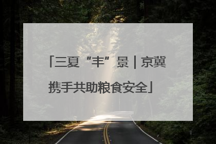 三夏“丰”景｜京冀携手共助粮食安全