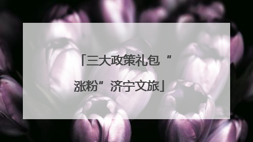 三大政策礼包“涨粉”济宁文旅