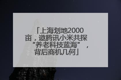 上海划地2000亩，邀腾讯小米共探“养老科技蓝海”，背后商机几何