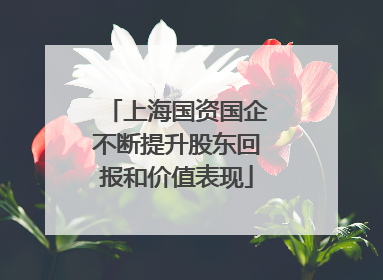 上海国资国企不断提升股东回报和价值表现