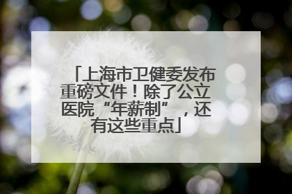 上海市卫健委发布重磅文件！除了公立医院“年薪制”，还有这些重点