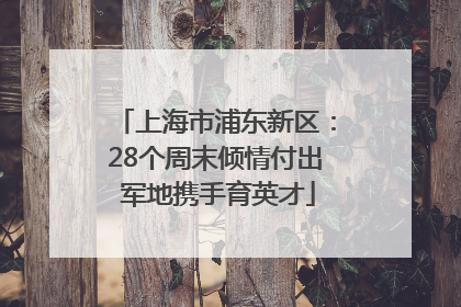 上海市浦东新区：28个周末倾情付出 军地携手育英才