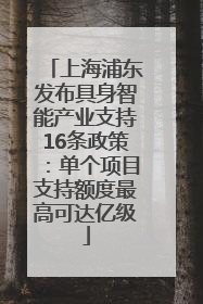 上海浦东发布具身智能产业支持16条政策：单个项目支持额度最高可达亿级