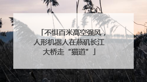 不惧百米高空强风，人形机器人在燕矶长江大桥走“猫道”