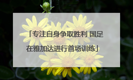 专注自身争取胜利 国足在雅加达进行首场训练