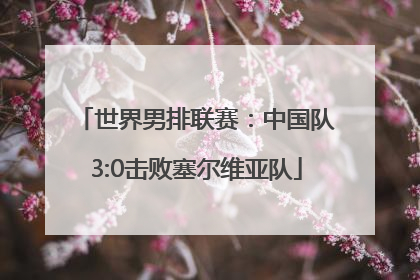 世界男排联赛：中国队3:0击败塞尔维亚队