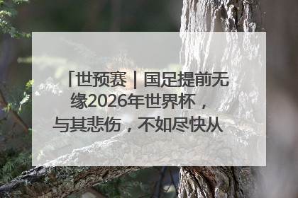 世预赛｜国足提前无缘2026年世界杯，与其悲伤，不如尽快从选帅开始重建