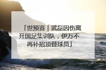 世预赛｜武磊因伤离开国足集训队，伊万不再补招顶替球员