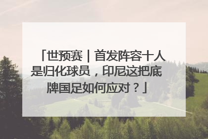 世预赛｜首发阵容十人是归化球员，印尼这把底牌国足如何应对？