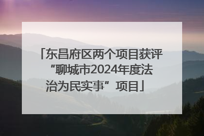 东昌府区两个项目获评“聊城市2024年度法治为民实事”项目