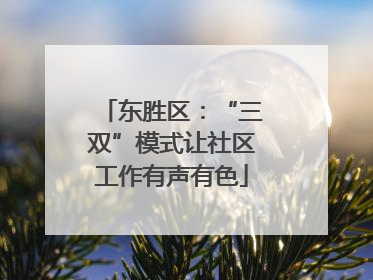 东胜区：“三双”模式让社区工作有声有色