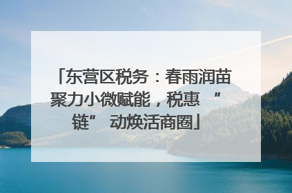 东营区税务：春雨润苗聚力小微赋能，税惠 “链” 动焕活商圈