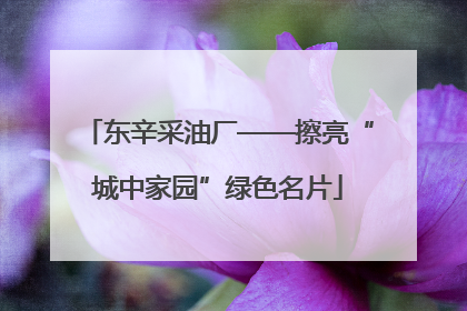 东辛采油厂——擦亮“城中家园”绿色名片