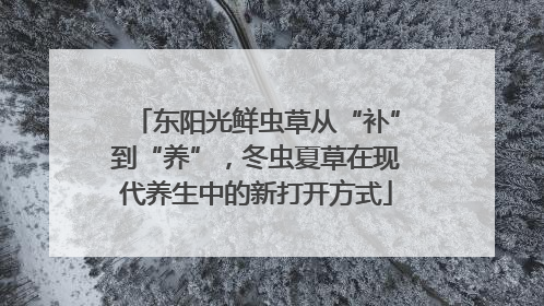 东阳光鲜虫草从“补”到“养”，冬虫夏草在现代养生中的新打开方式
